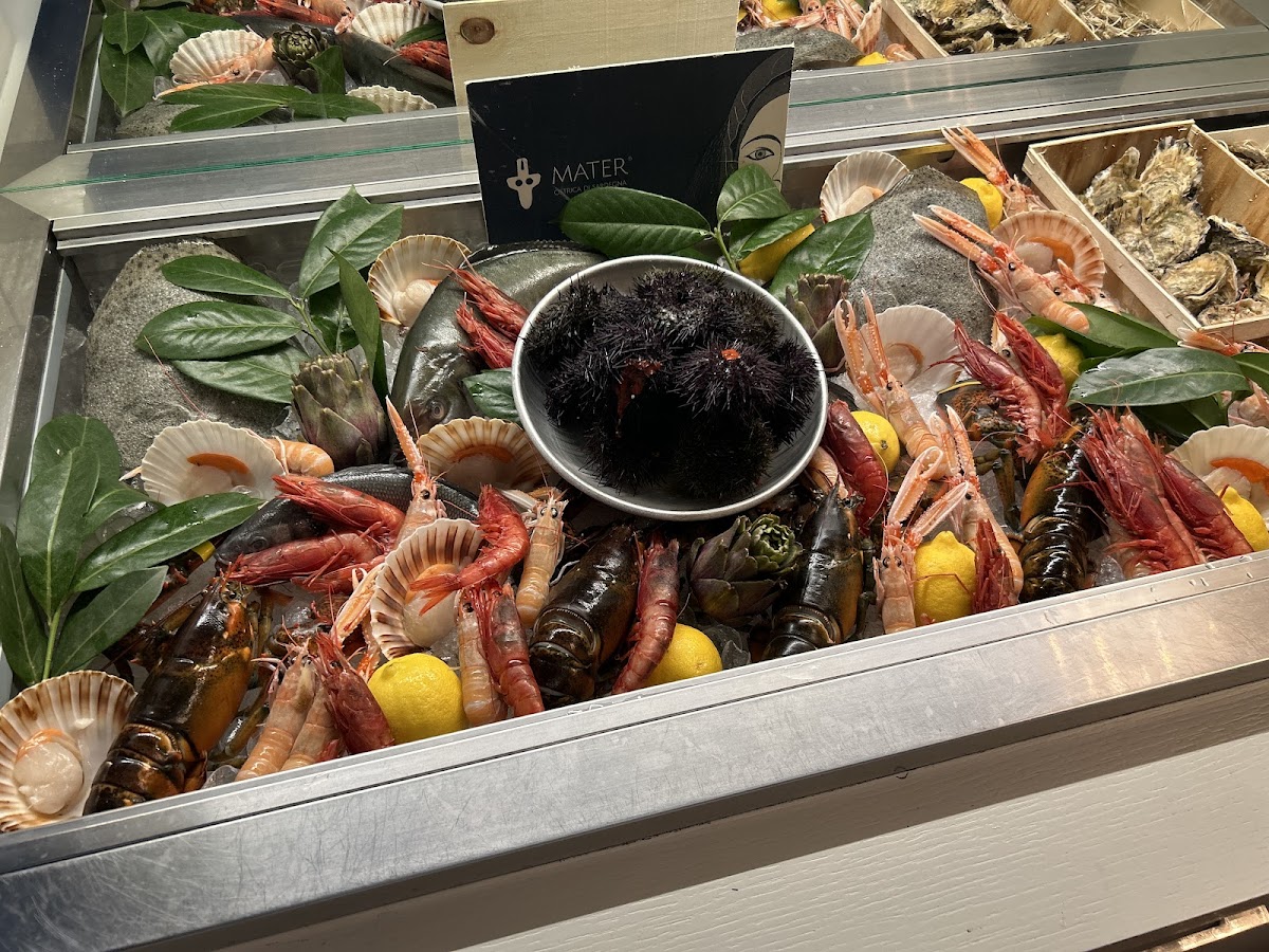 Pesce D'Oro Bistrot Photo 3