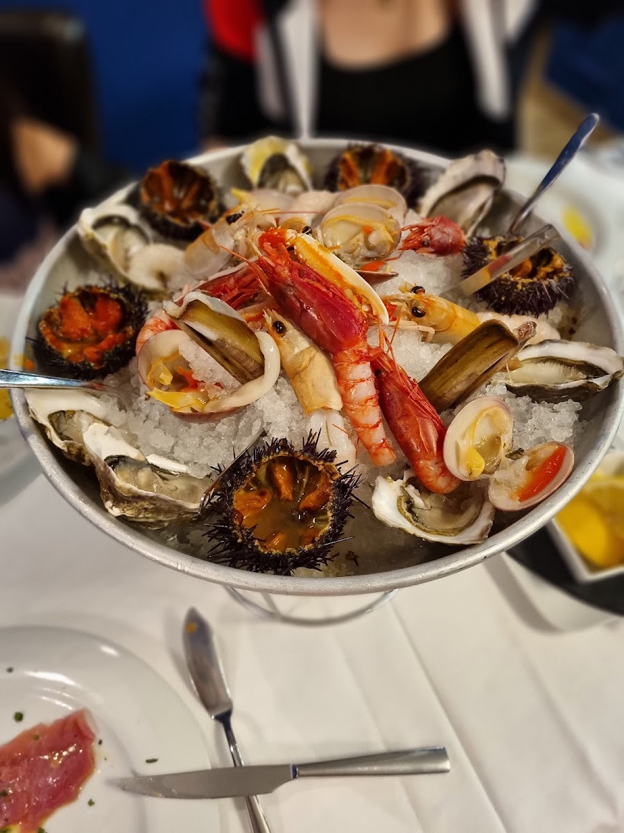 Pesce D'Oro Bistrot Photo 5