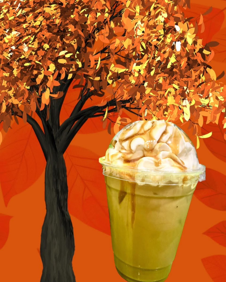 The Baked Bean - Coffee Shop & Dispensary Photo 4