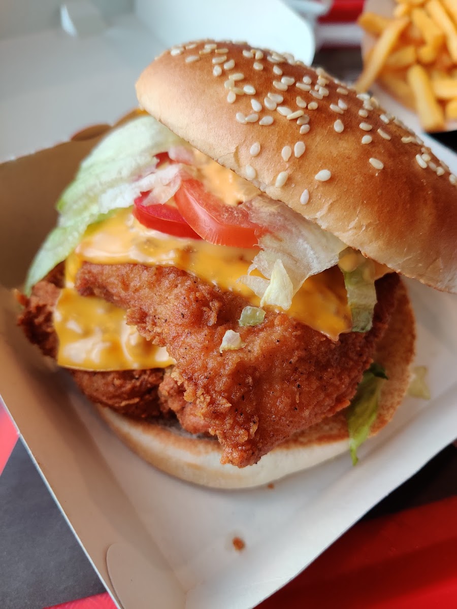 KFC Toulouse CV Photo 6