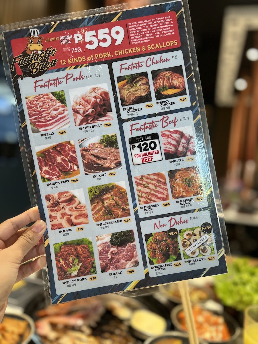 Fantastic Baka - SM City Fairview Photo Menu 9