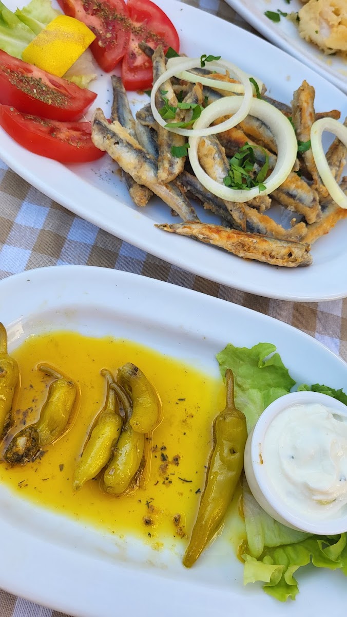Taverna Orion Photo 5