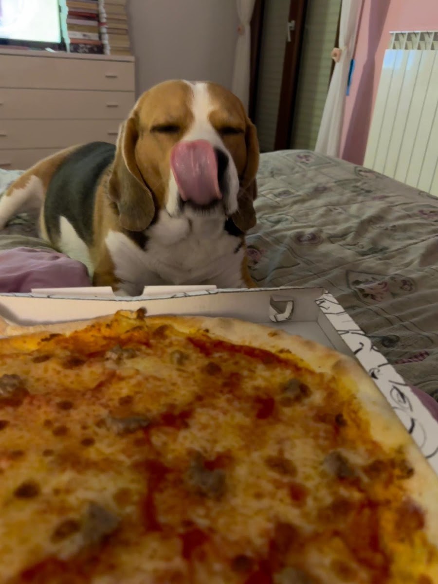 Pizzeria Raimondo Photo 5