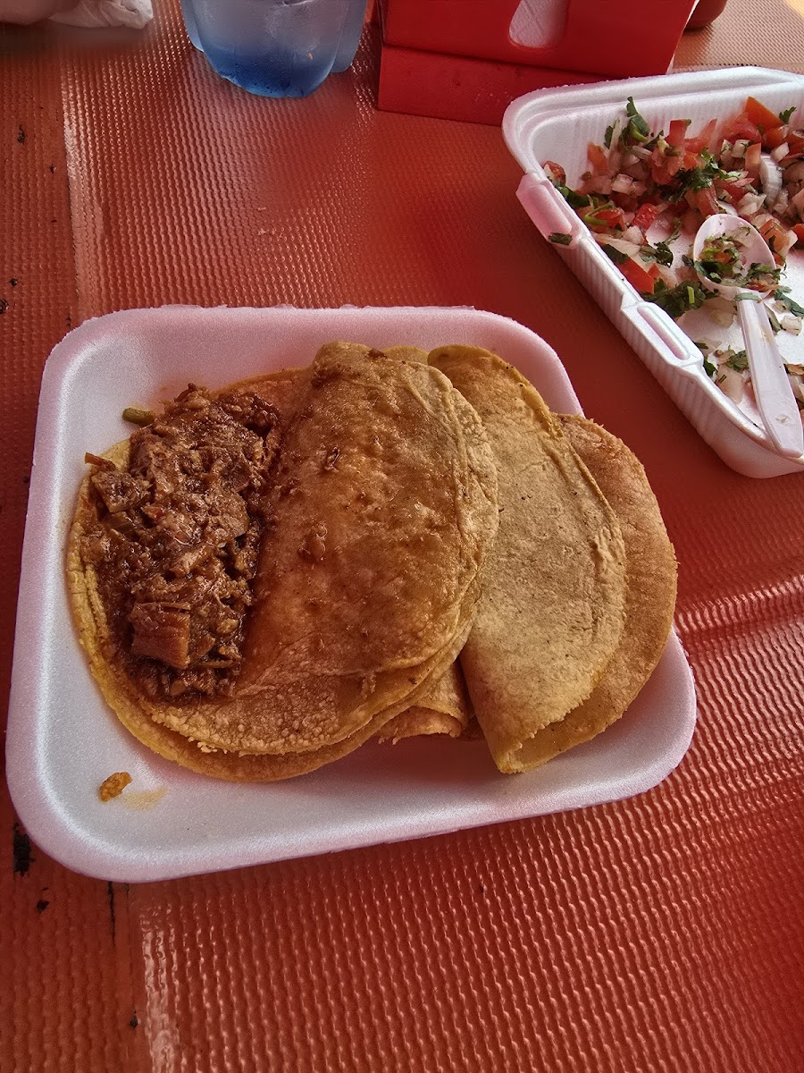 TACOS EL GÜERO TEC Photo 5