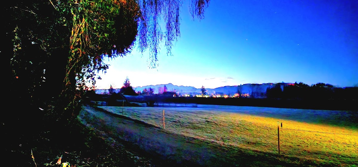 Alpenrose Photo 4
