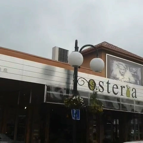 Osteria Matamata Photo 2