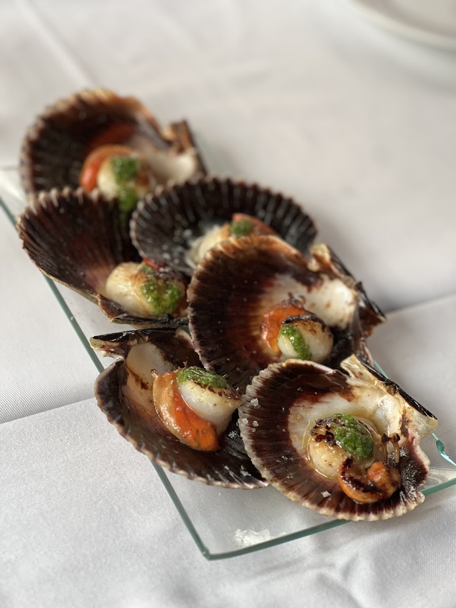 Kimera Gastro Photo 6