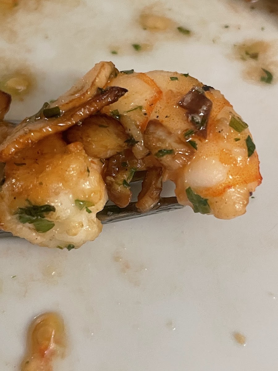 Kimera Gastro Photo 7