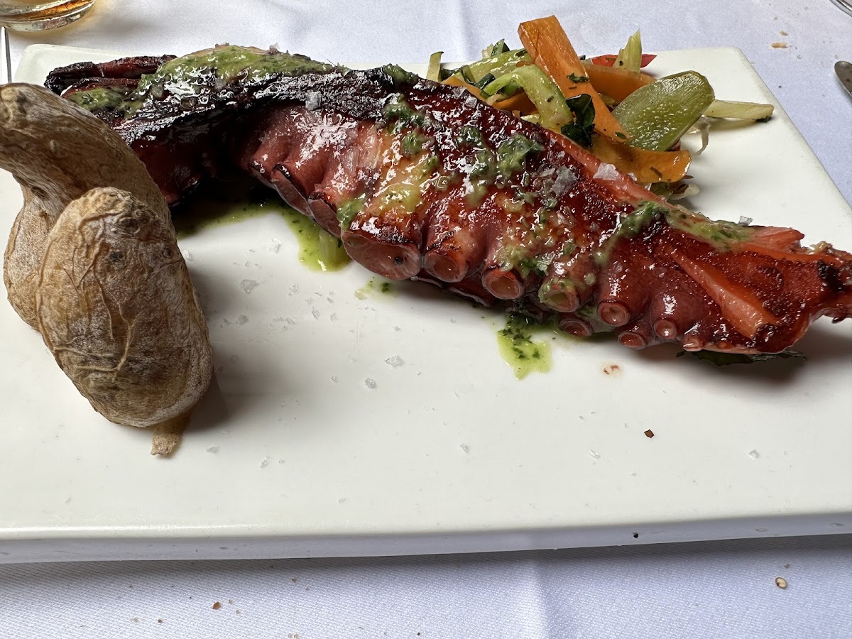 Kimera Gastro Photo 8