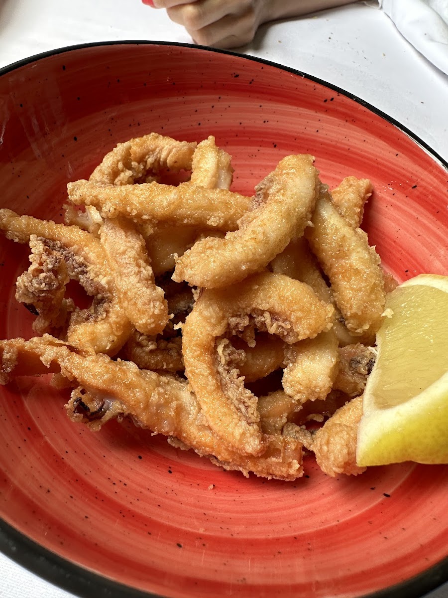 Kimera Gastro Photo 9