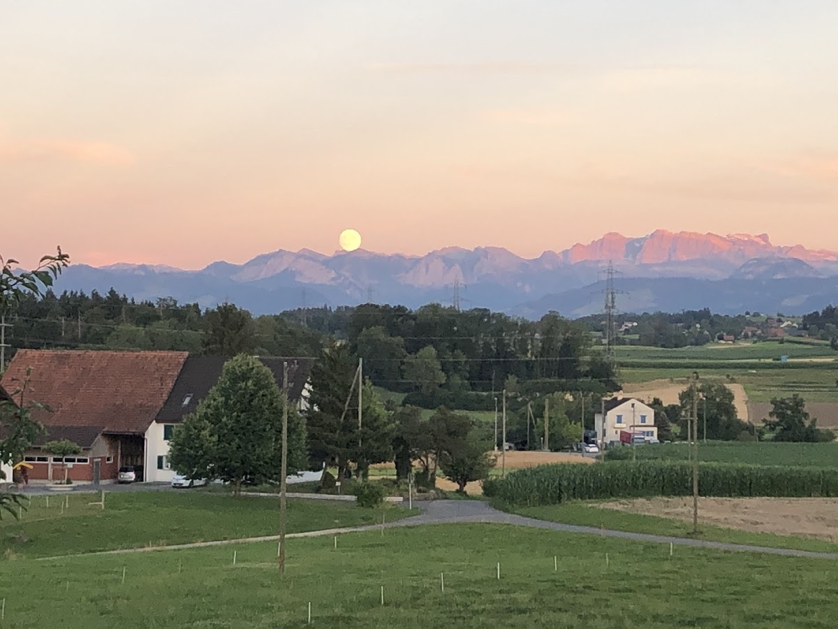 Rotblattstübli Photo 4