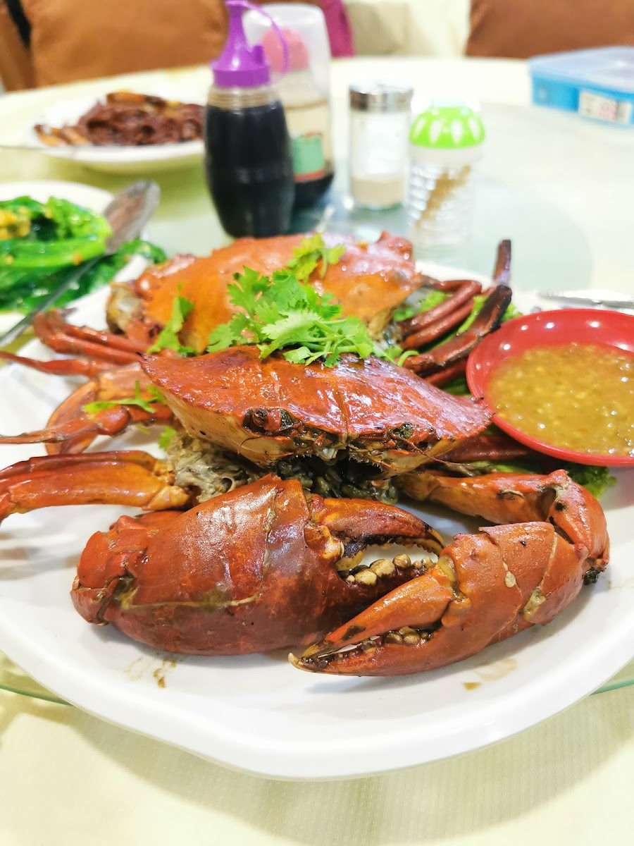Restoran WCP Oriental Kitchen Photo 6