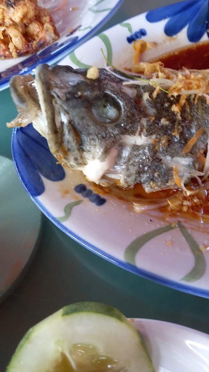 Restoran Shun De 顺德餐厅 Photo 5