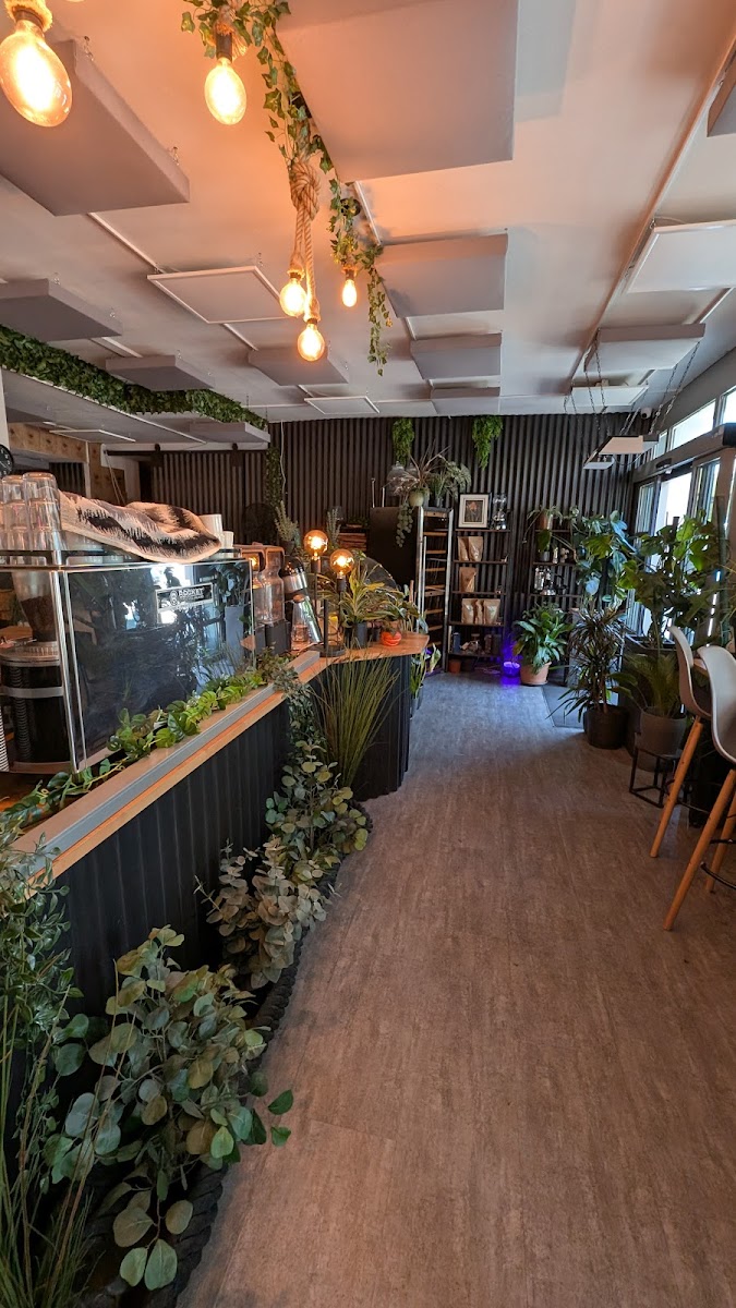 The Jungle Café & Bar Photo 4