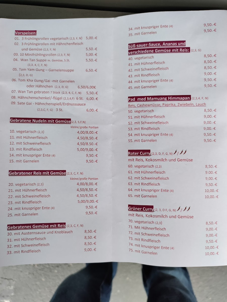 Thai Wok Siegerland Photo Menu 1