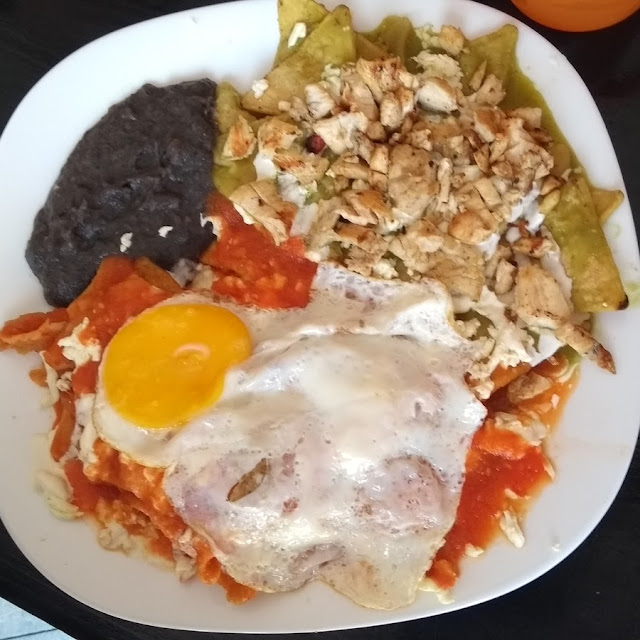 Enfrijoladas with Eggs