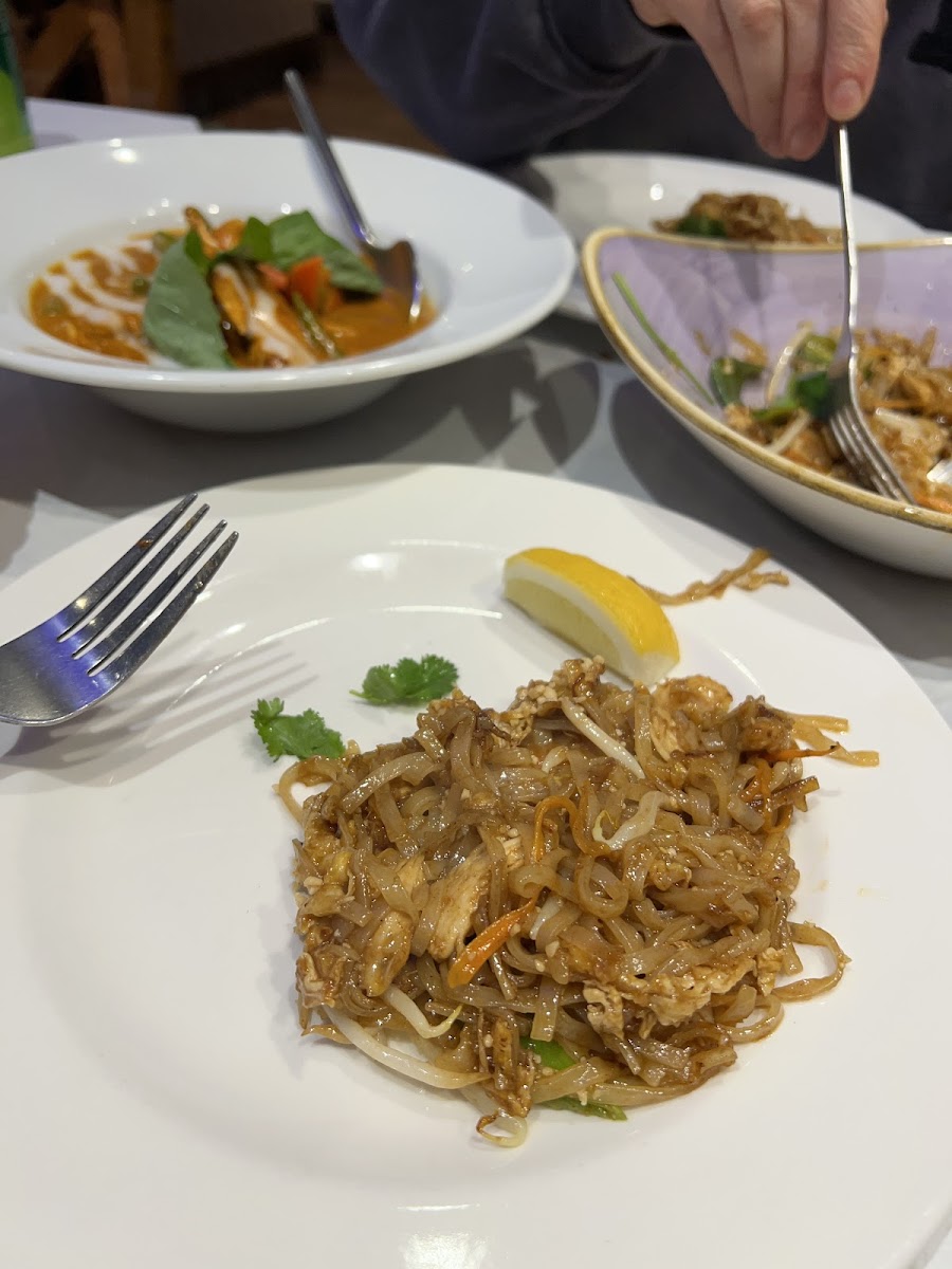 The Secret Thai Garden, Potters Bar Photo 4