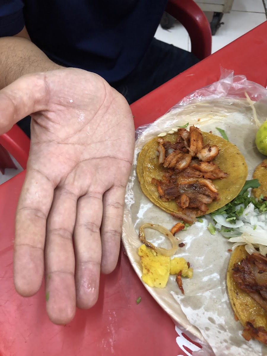 Taquería la Arabita Photo 10