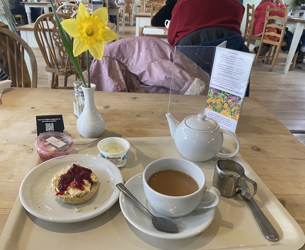 Waterperry Gardens Teashop Photo 5