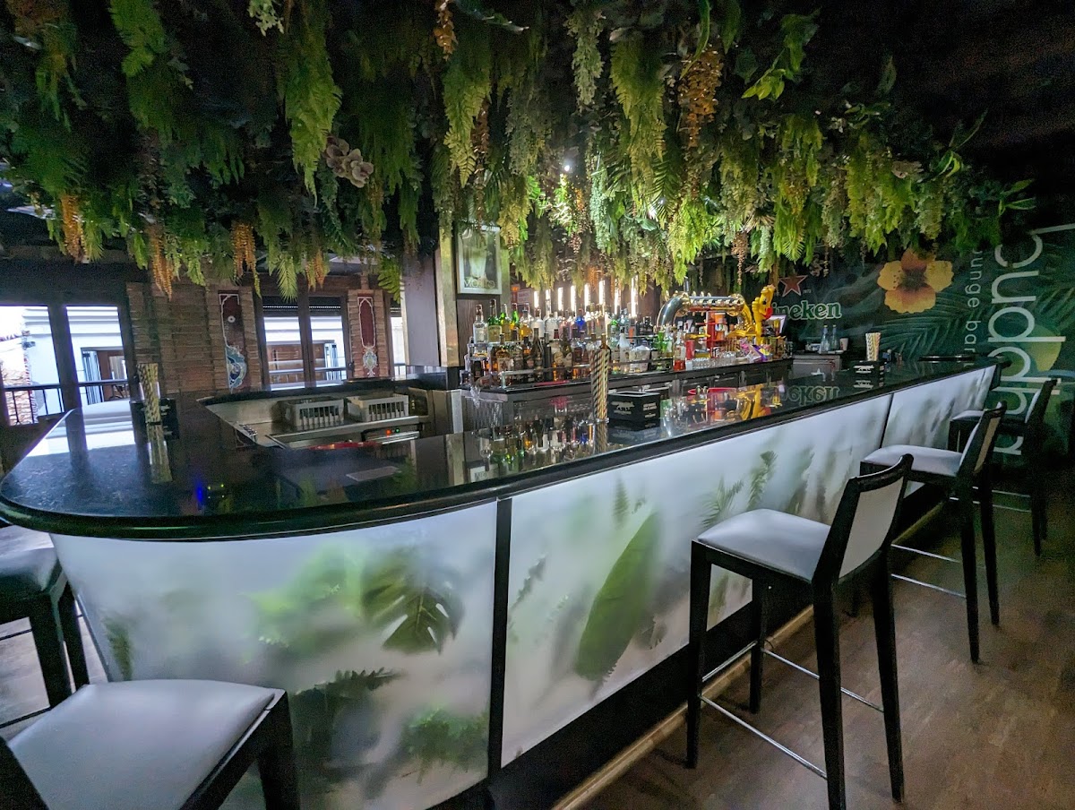 Terraza Buddha Lounge Bar