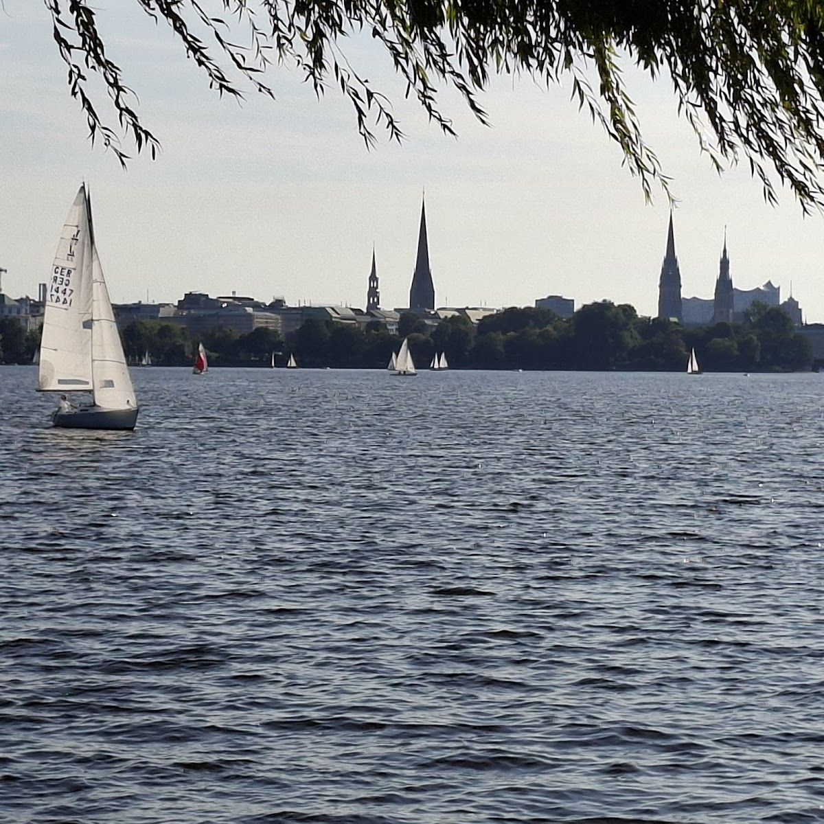 Café Hansa Steg Photo 3