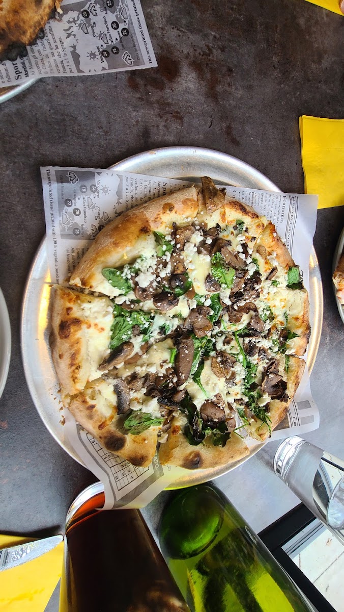 Speck Pizza Photo 10