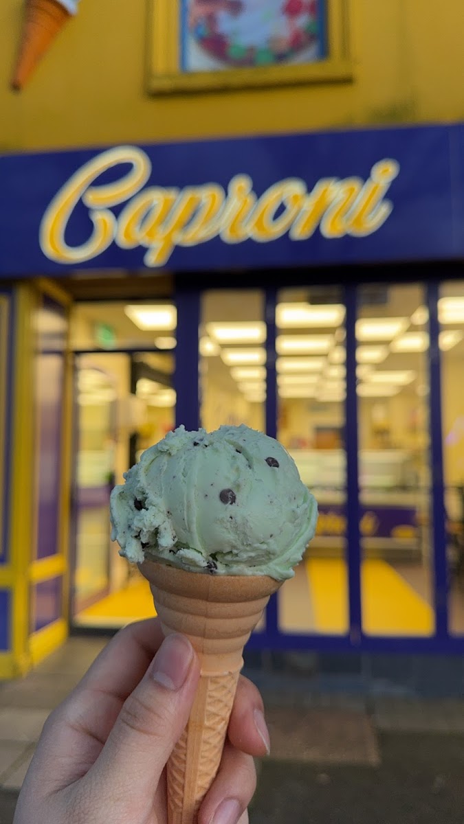 Mezy Caproni Photo 4