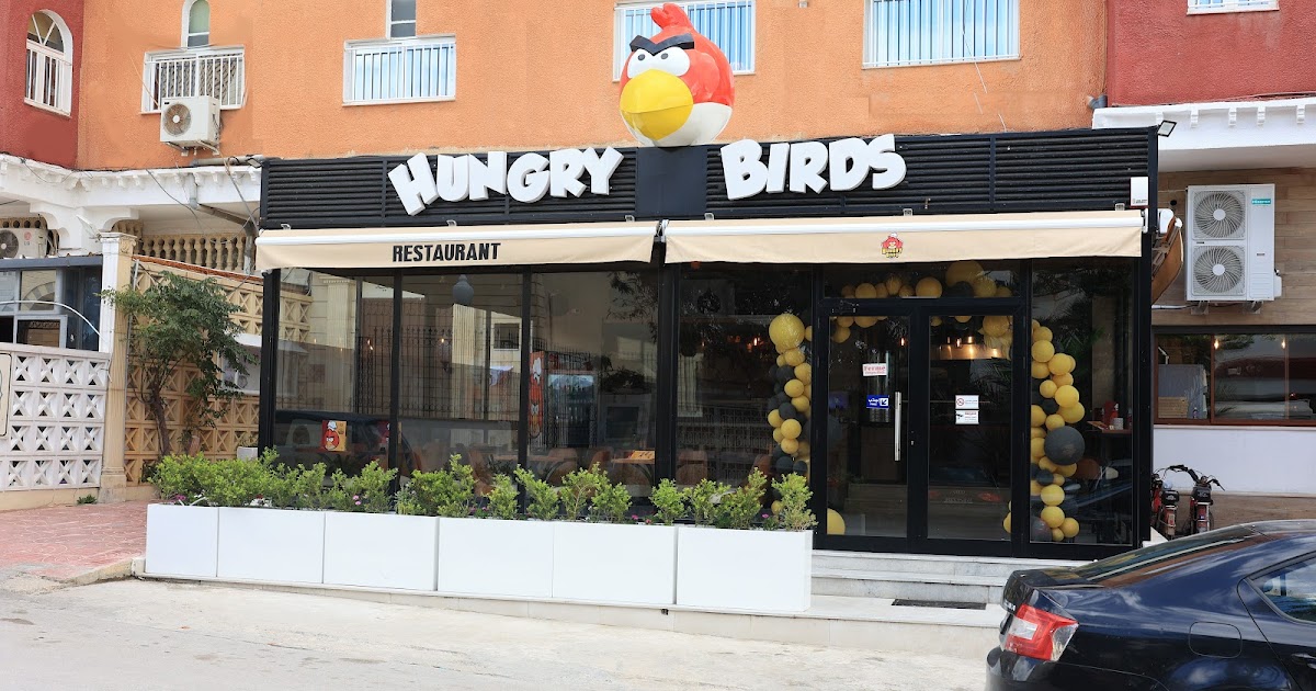 HUNGRY BIRDS