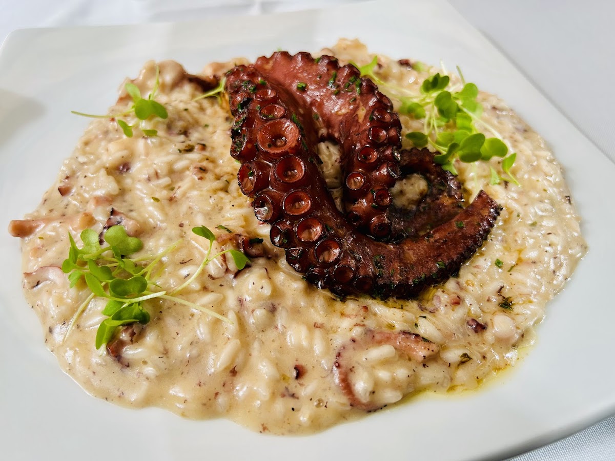 Terra Madre Ristorante Photo 7