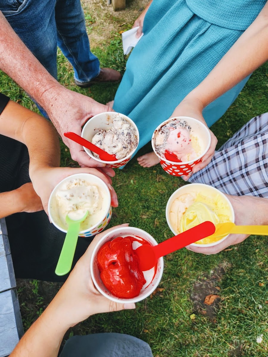 The Frozen Spoon, LLC