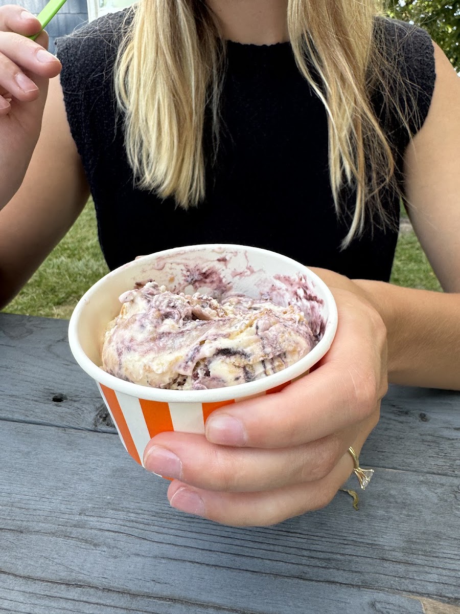 The Frozen Spoon, LLC Photo 10