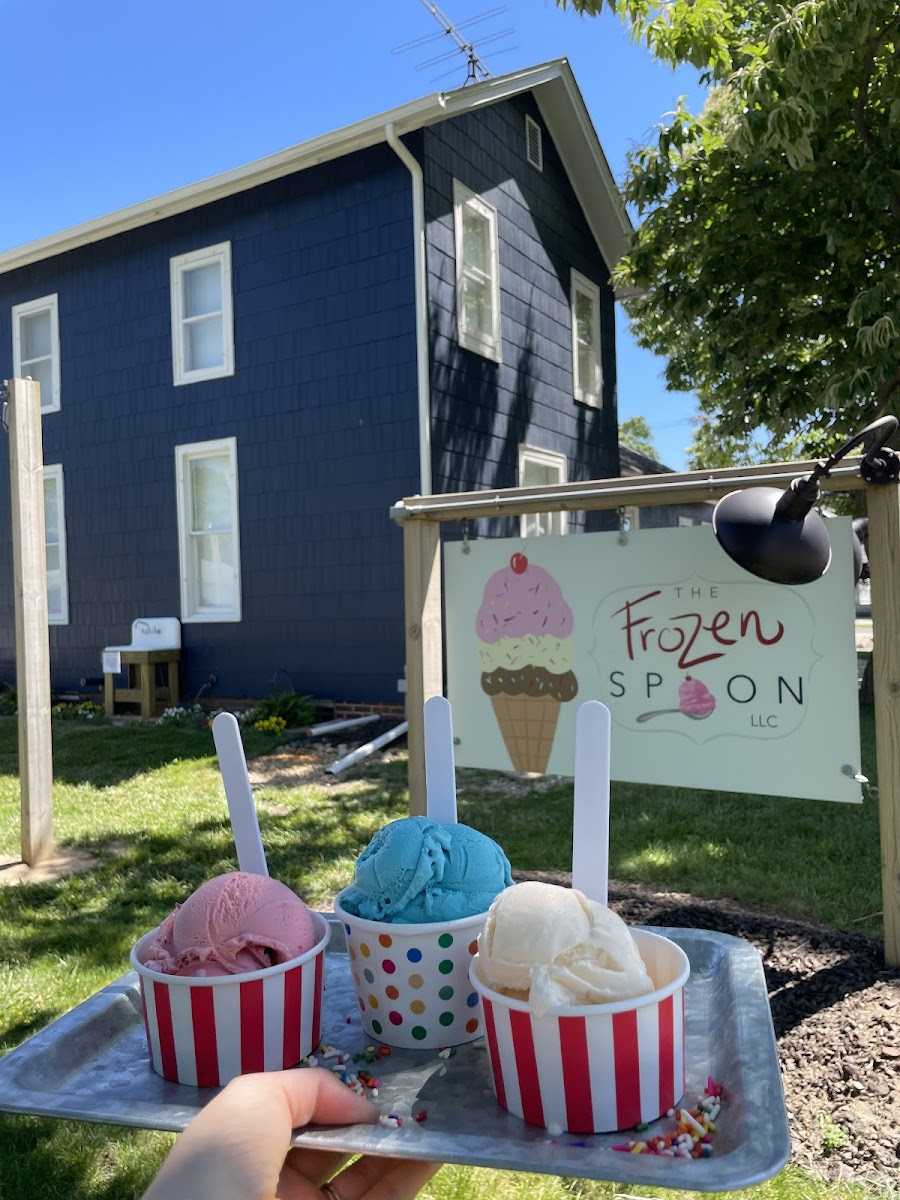 The Frozen Spoon, LLC Photo 2