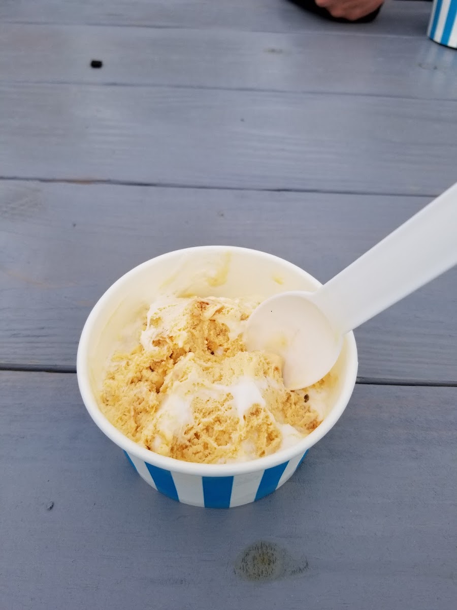 The Frozen Spoon, LLC Photo 5