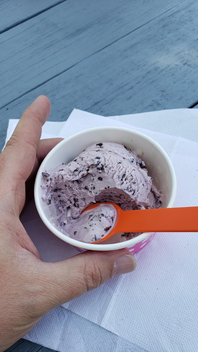 The Frozen Spoon, LLC Photo 6