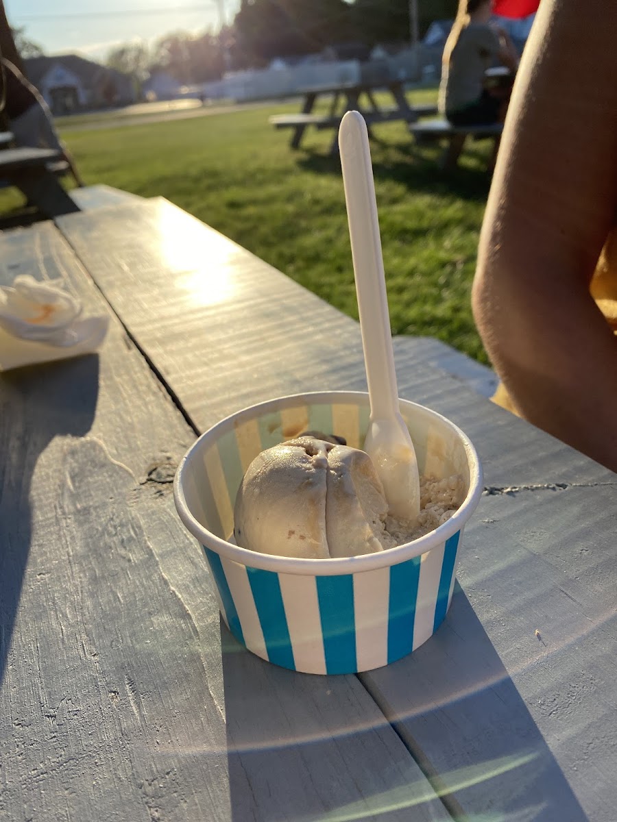 The Frozen Spoon, LLC Photo 7