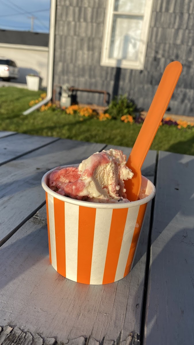 The Frozen Spoon, LLC Photo 8