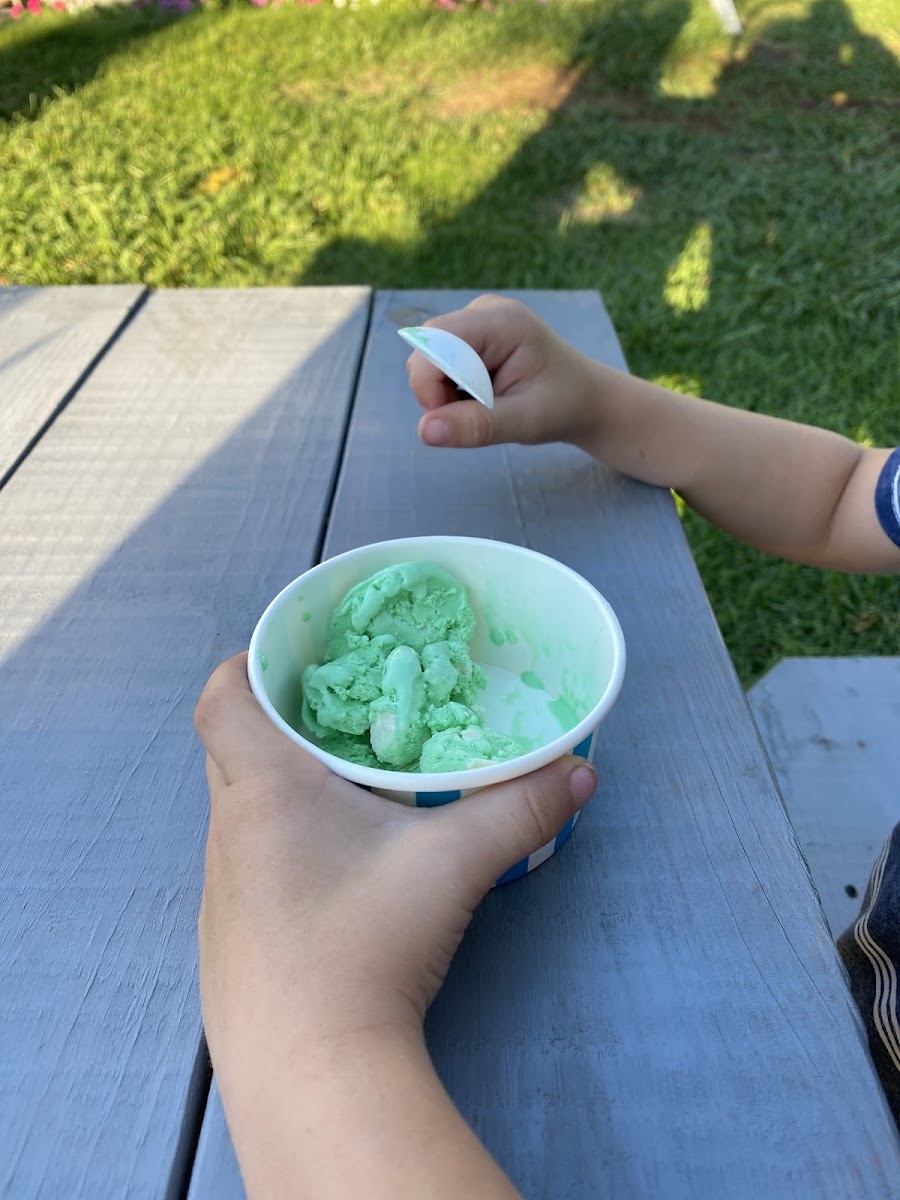 The Frozen Spoon, LLC Photo 9