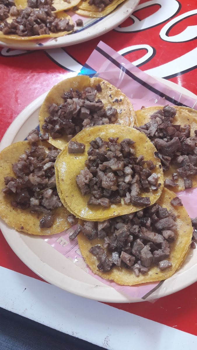 TACOS JAVY Photo 7