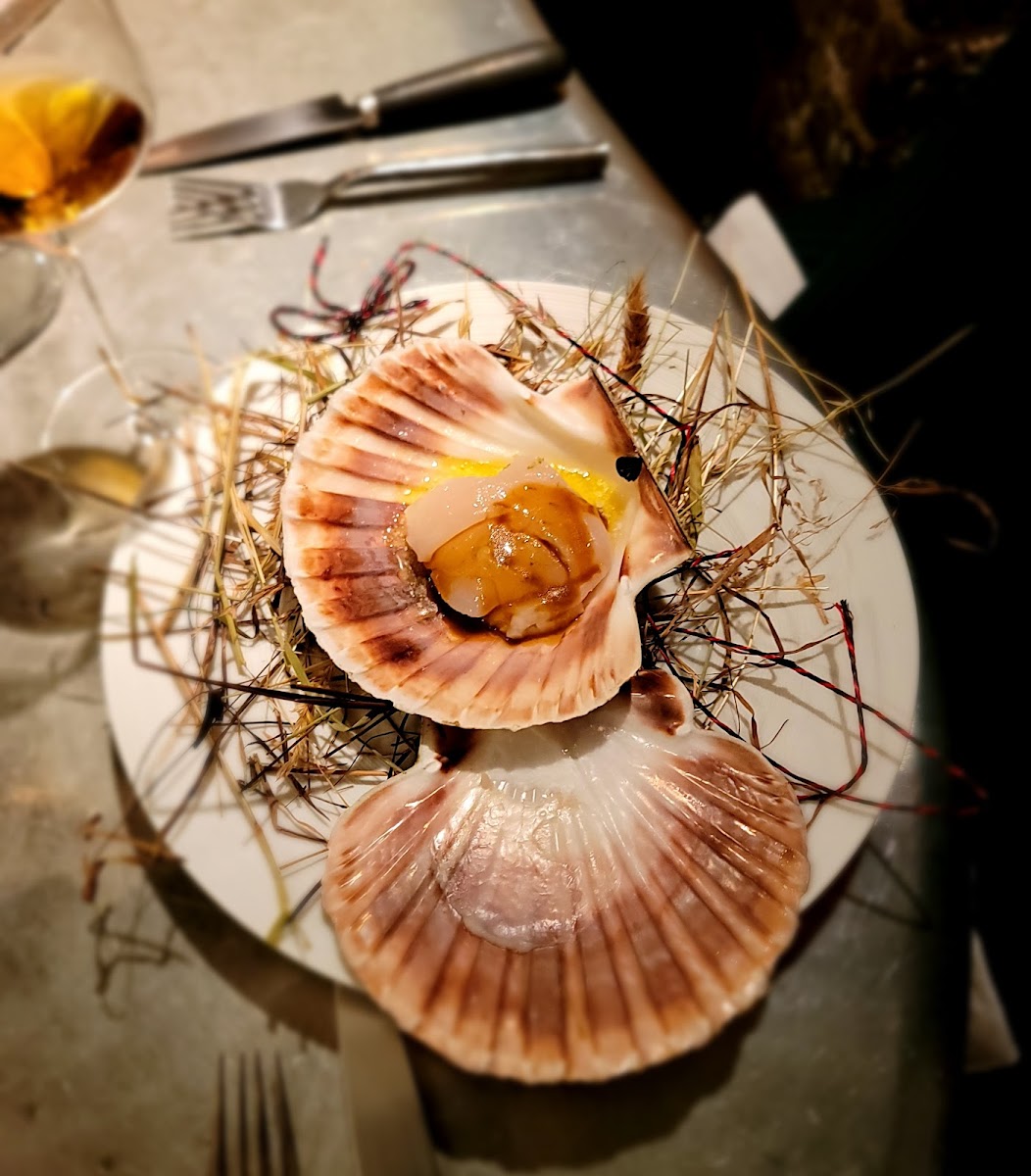 Table Bruno Verjus Photo 8