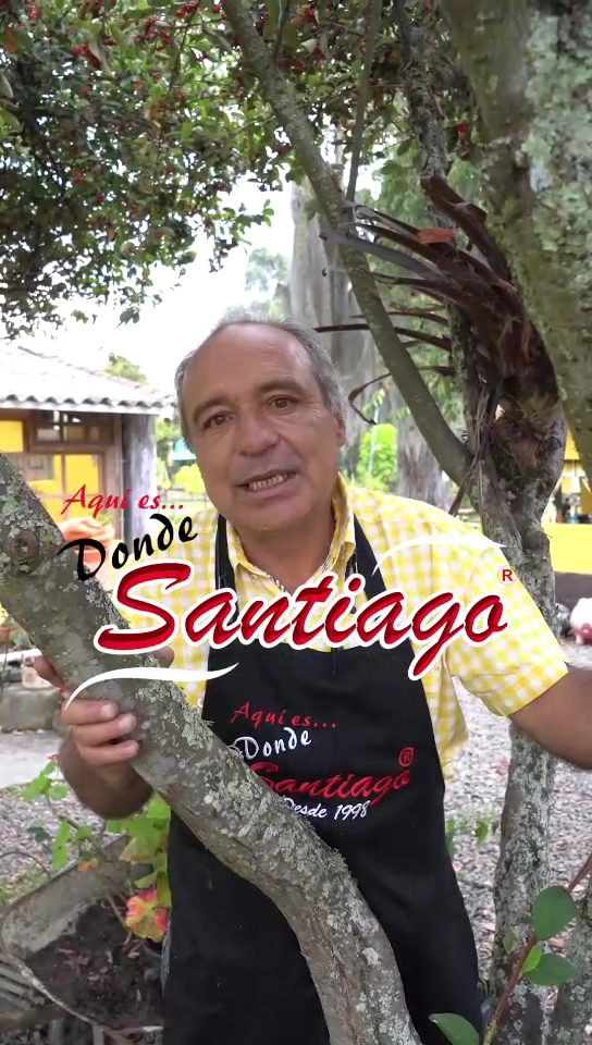Aqui es Donde Santiago Photo 2