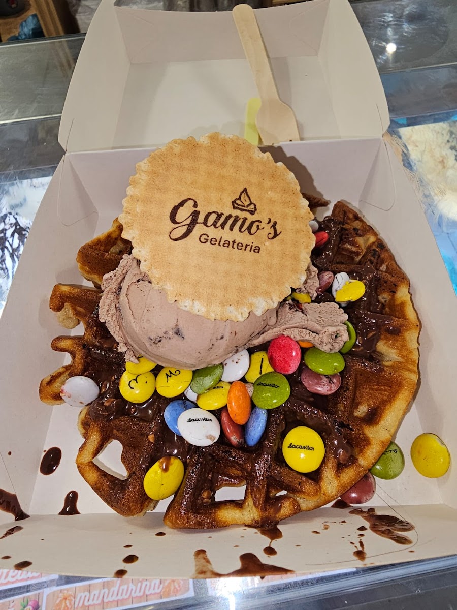 Gamo's Gelateria segur de calafell Photo 10