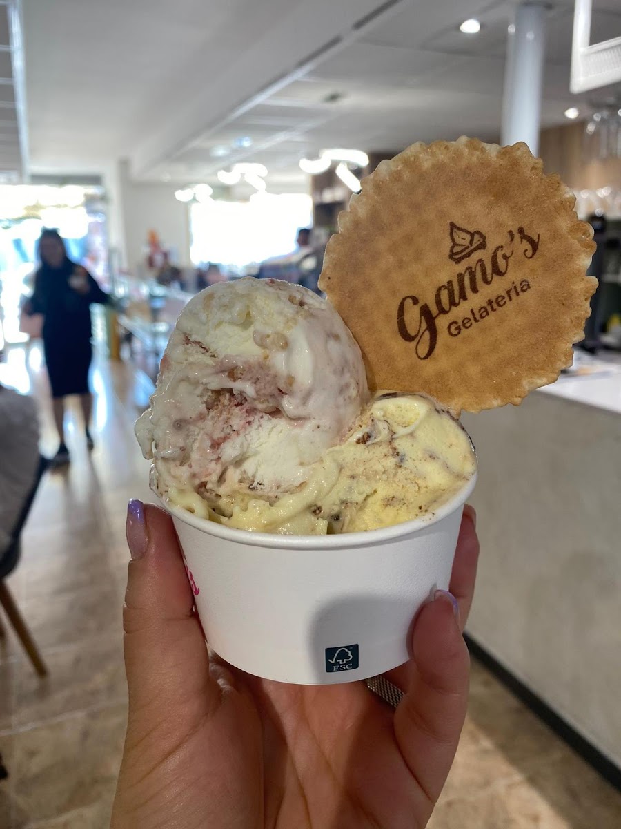 Gamo's Gelateria segur de calafell Photo 4