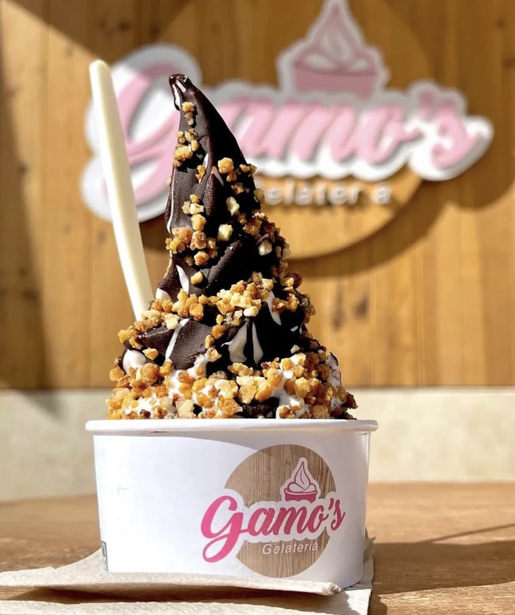 Gamo's Gelateria segur de calafell Photo 6