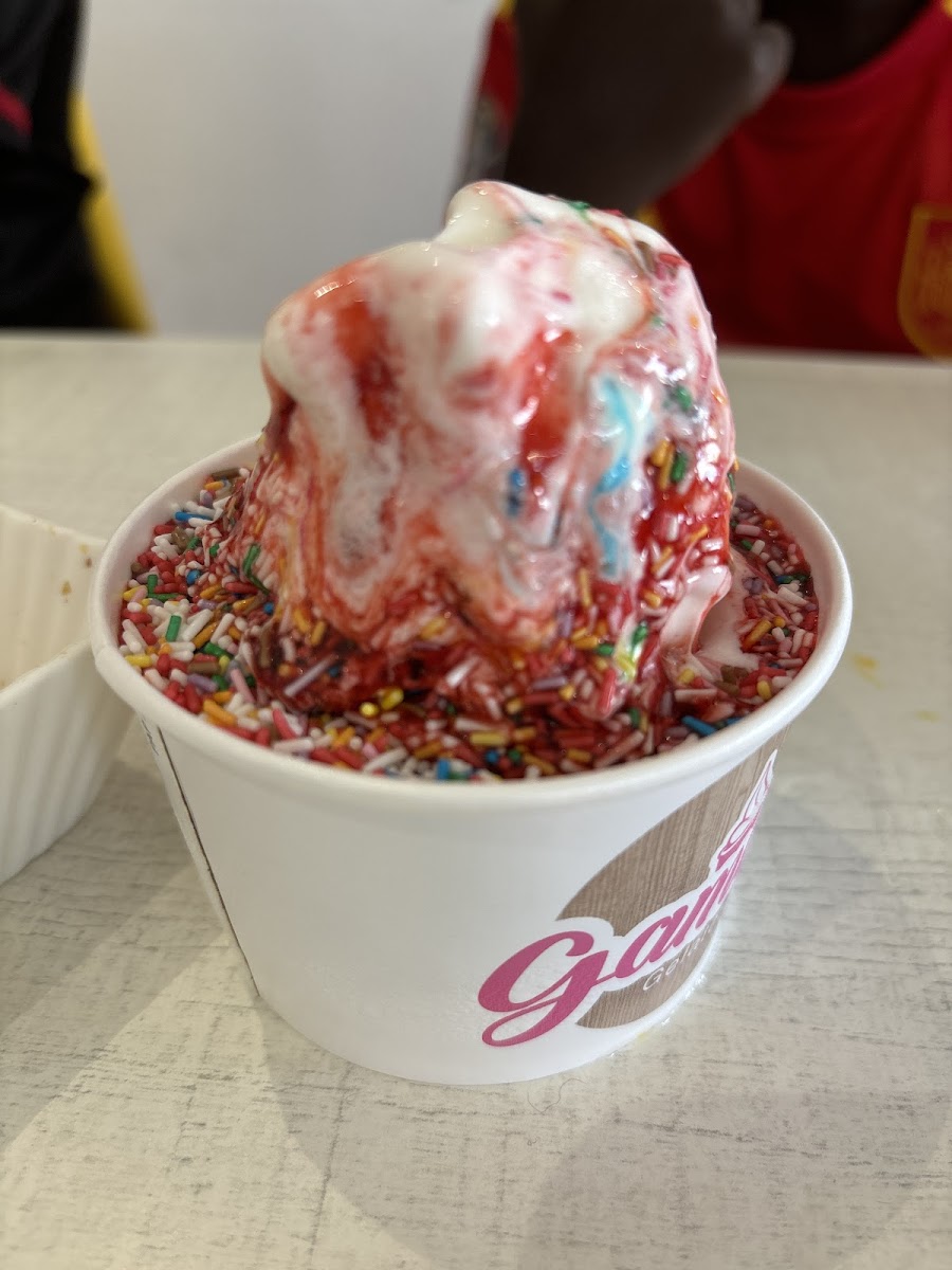 Gamo's Gelateria segur de calafell Photo 8