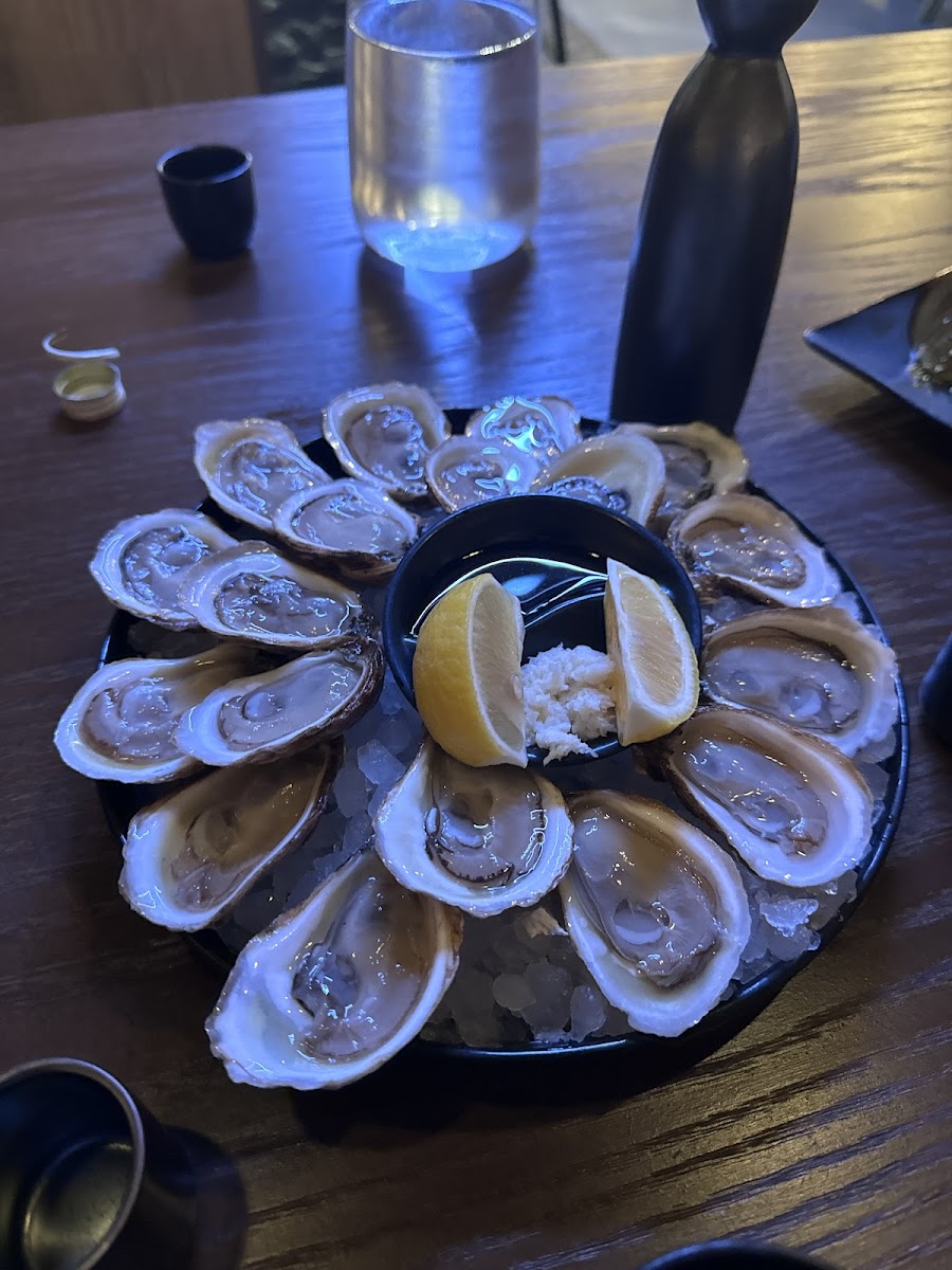 Ryu Izakaya Photo 5