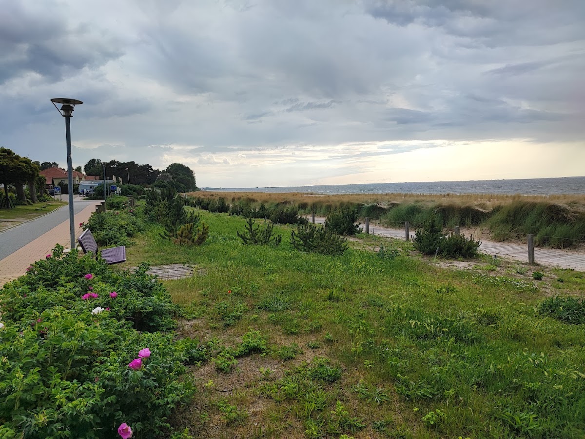 Zum Anker Photo 3