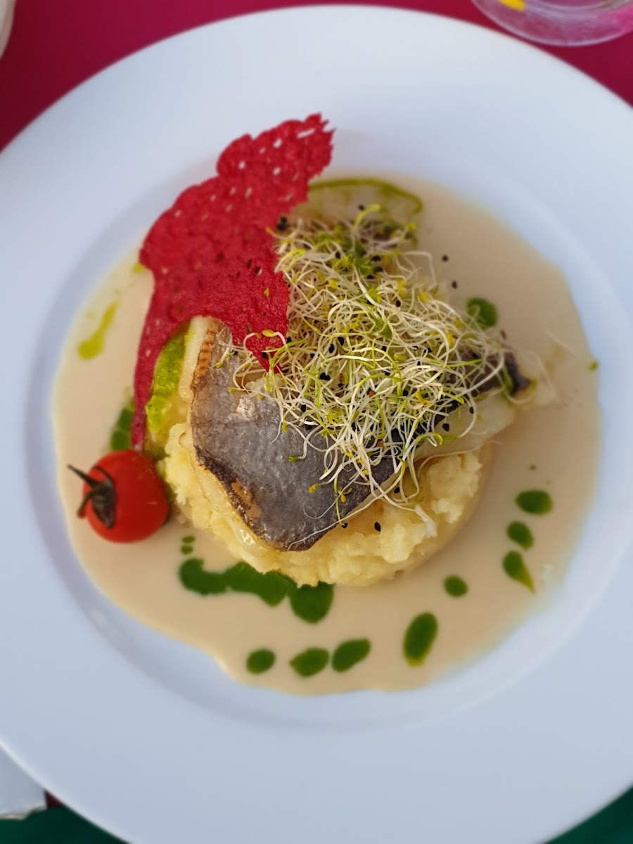 Restaurant le Sud Photo 6
