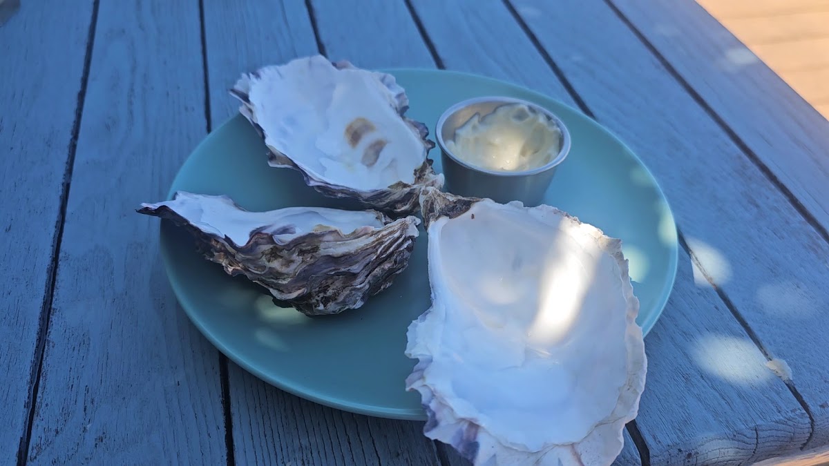 Islay Oyster Shed Photo 2