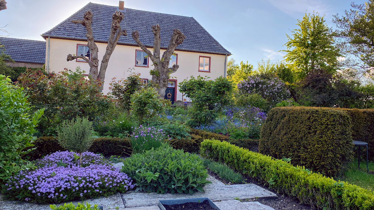 Café in the little garden Photo 4