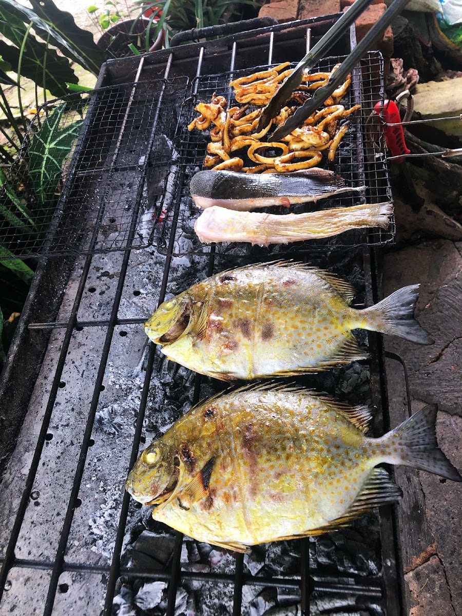 Ikan Bakar Citra Photo 9